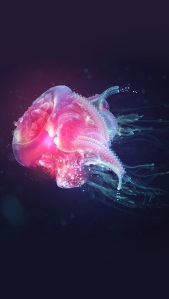 Beautiful-jellyfish-underwater-world-iPhone-5-wallpapers-640x1136-9